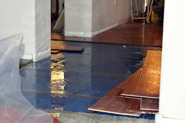 Professional Water Damage Restoration technician working in Humble, TX